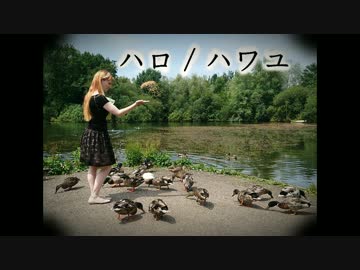 [キティ雨]  ハロ／ハワユ [ 踊ってみた]