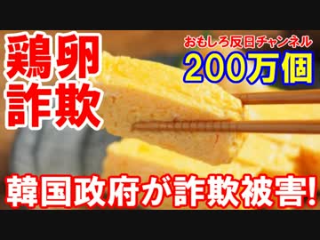 【韓国政府が卵詐欺で大損害】 タイに発注した卵が届かない！