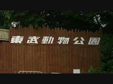 今週のグレープ君達 Final【東武動物公園】