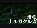 【実況】MHXX七つ道具実況プレイ11【ガンランス１】