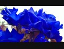 【KAITO】Heavens Garden 歌ってもらった【ファントム・ブレイブ】