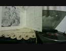 The Beach Boys/Surfer Girl/(Stereo)