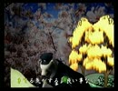 くまうた　（4595）「気運上げたい」　唄：嵐山クマ男（夫）
