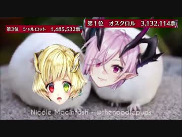 人気の奪い合いに負けてしまったシャルロット