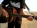 【アコギで】Butter-Flyを弾いてみた【デジモン】