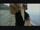 キス釣り　1017/06/29