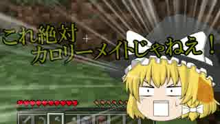 【ゆっくり実況】行き当たりばったり自由にマインクラフト