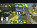 協力求む！！【残り20日】#34 底辺初心者がスプラ2発売までにS+を目指す