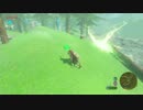 自由すぎるリンクの冒険【プレイ動画その８３】