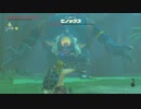 【高画質プレイ動画】ゼルダの伝説 ブレスオブザワイルド 剣の試練4