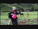 【横山緑】不倫ロバＶＳアルパカ　蹴られて噛まれるｗｗ