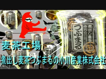 江戸川の麦茶工場へ見学に行ってきた☆