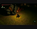 【高画質プレイ動画】ゼルダの伝説 ブレスオブザワイルド 剣の試練6