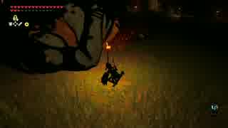【高画質プレイ動画】ゼルダの伝説 ブレスオブザワイルド 剣の試練6