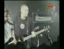 SHAKALABBITS live