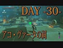 【ゼルダの伝説 BotW】毎日祠を攻略解説 DAY 30【アコ・ヴァータの祠】