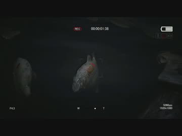 逃げて逃げて逃げまくれ！！アウトラスト2 【ホラー実況】16