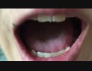 【ホモと見る】コミュ障youtuberが頑張ってアニオタ共を批判する動画
