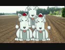 ピッチングINU.BB改＆INU農園