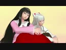 配布動画