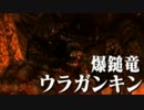 【実況】初心者のMHXX狩猟生活【32日目】