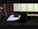 こんしゅうのおやつ【蒼民家の猫々】