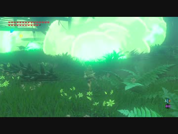 【高画質プレイ動画】ゼルダの伝説 ブレスオブザワイルド 剣の試練8