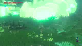 【高画質プレイ動画】ゼルダの伝説 ブレスオブザワイルド 剣の試練8