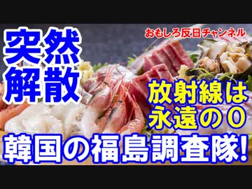 【韓国の放射能調査委員会が突然解散】 ＷＴＯに提訴したら敵前逃亡？