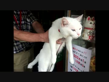 ラーメン慶次郎のどろそば②／リアルまねき猫の宝くじ売り場