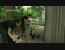 2017年6月24日中継のハイライト タライ磨き屋ー梅蘭（メイラン）。