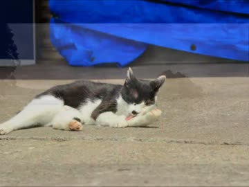 Versys1000でゆく北海道 舞台探訪ツーリング 2017【洞爺湖】