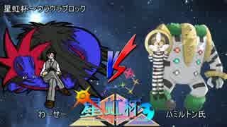 【ポケモンSM】異教徒にメタゲームを挑む星虹杯【vsハミルトンさん】