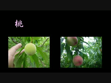 まったり作業報告　Vol.5