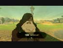 【実況】マスターモードで歩くBotW～ゼルダの伝説～【Part2】