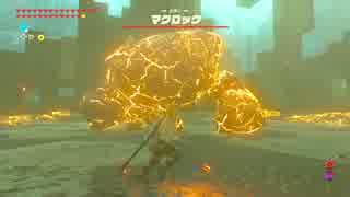 【高画質プレイ動画】ゼルダの伝説 ブレスオブザワイルド 剣の試練10