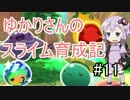 【Slime Rancher】ゆかりさんのスライム育成記#11【VOICE ROID実況】