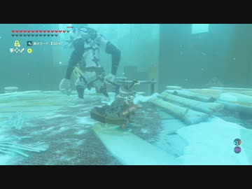 【高画質プレイ動画】ゼルダの伝説 ブレスオブザワイルド 剣の試練11