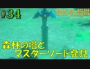 盗賊リンクのゼル伝BOW実況part34
