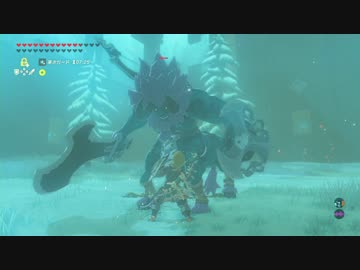 【高画質プレイ動画】ゼルダの伝説 ブレスオブザワイルド 剣の試練12