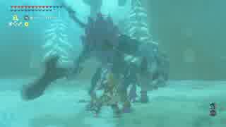 【高画質プレイ動画】ゼルダの伝説 ブレスオブザワイルド 剣の試練12