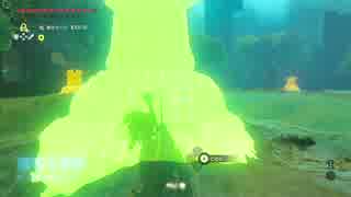 【高画質プレイ動画】ゼルダの伝説 ブレスオブザワイルド 剣の試練13