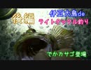 伊豆大島deライトタックル釣り 後編