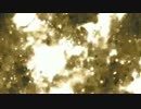 ໒꒱· ﾟホシアイ ver如月 翼【2周年記念】