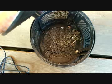 【モスキート駆除装置】7日目の収穫成果報告。そろそろ蚊が絶滅しそう。
