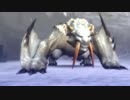 TAS モンスターハンター3(トライ) 2時間7分1秒 Part9