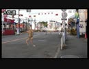 開かずの踏切先輩.ttk