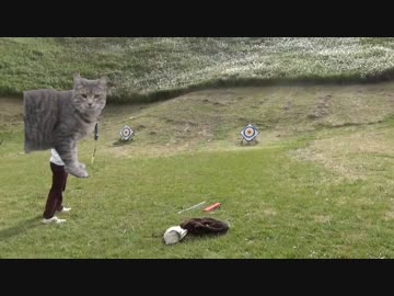 5月といえば１人でわいわいしながらキャンプでしょ！⑤