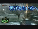 【ダークソウル３】再びイルシールへ＃34-1【４人実況】