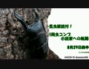 昆虫解説付!1周虫コンプ小説家への軌跡…【ぼくなつPSP】8月29日前編